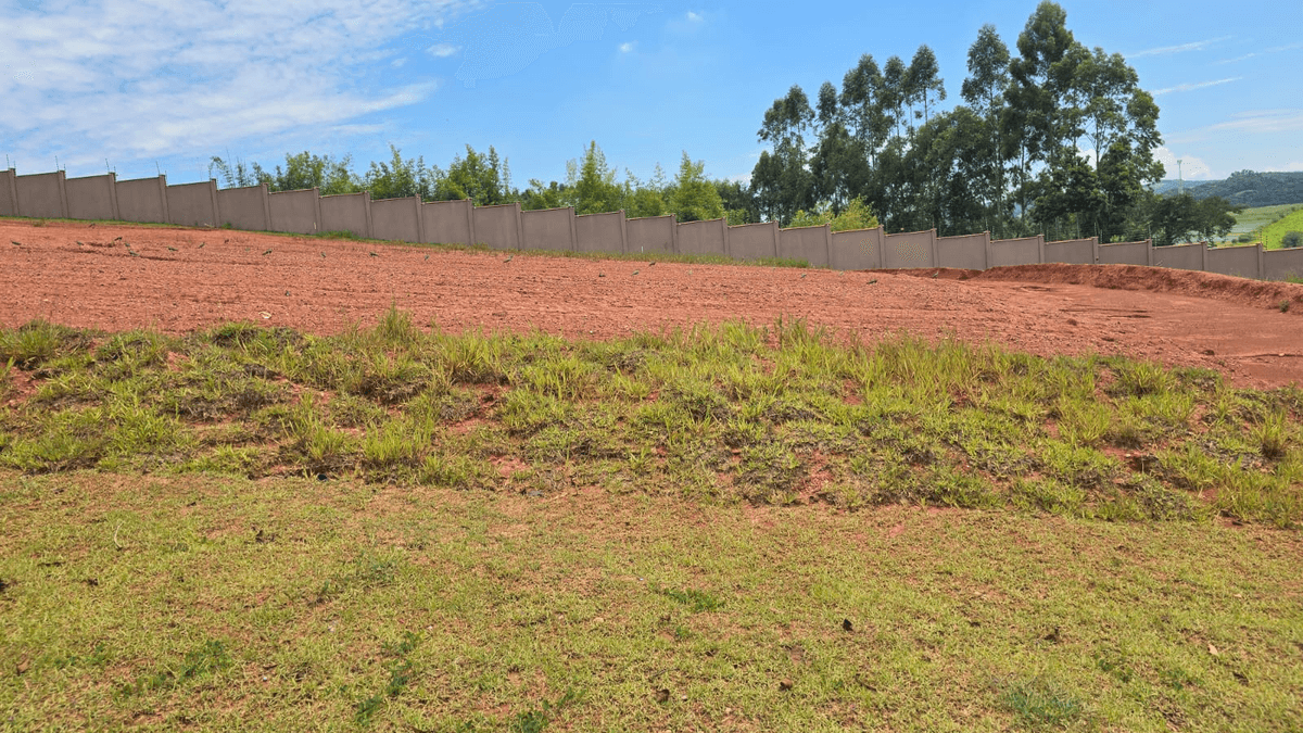 Terreno praticamente plano